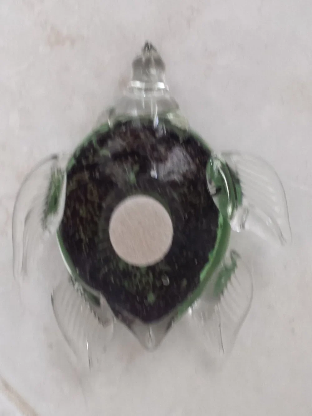 Colored Glass Turtle